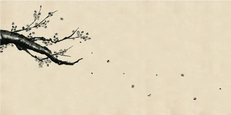 土