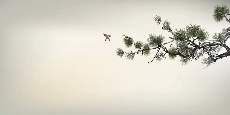 白鼠