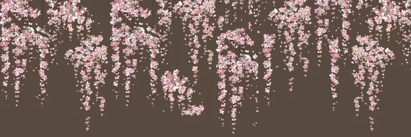 さくら
