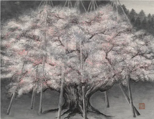夜桜花