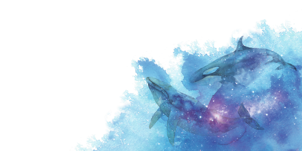 Ocean