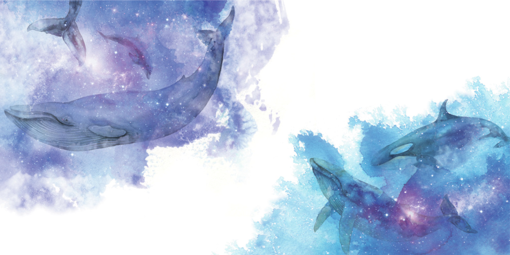 Universe