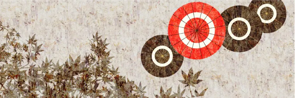 和傘と紅葉