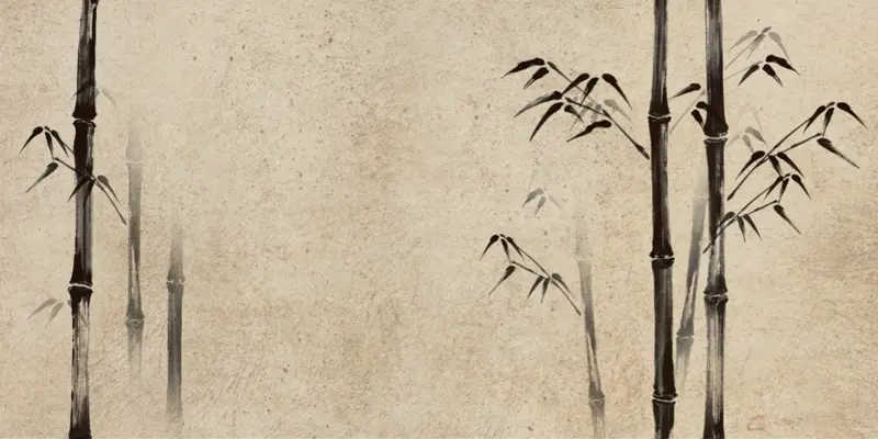 土