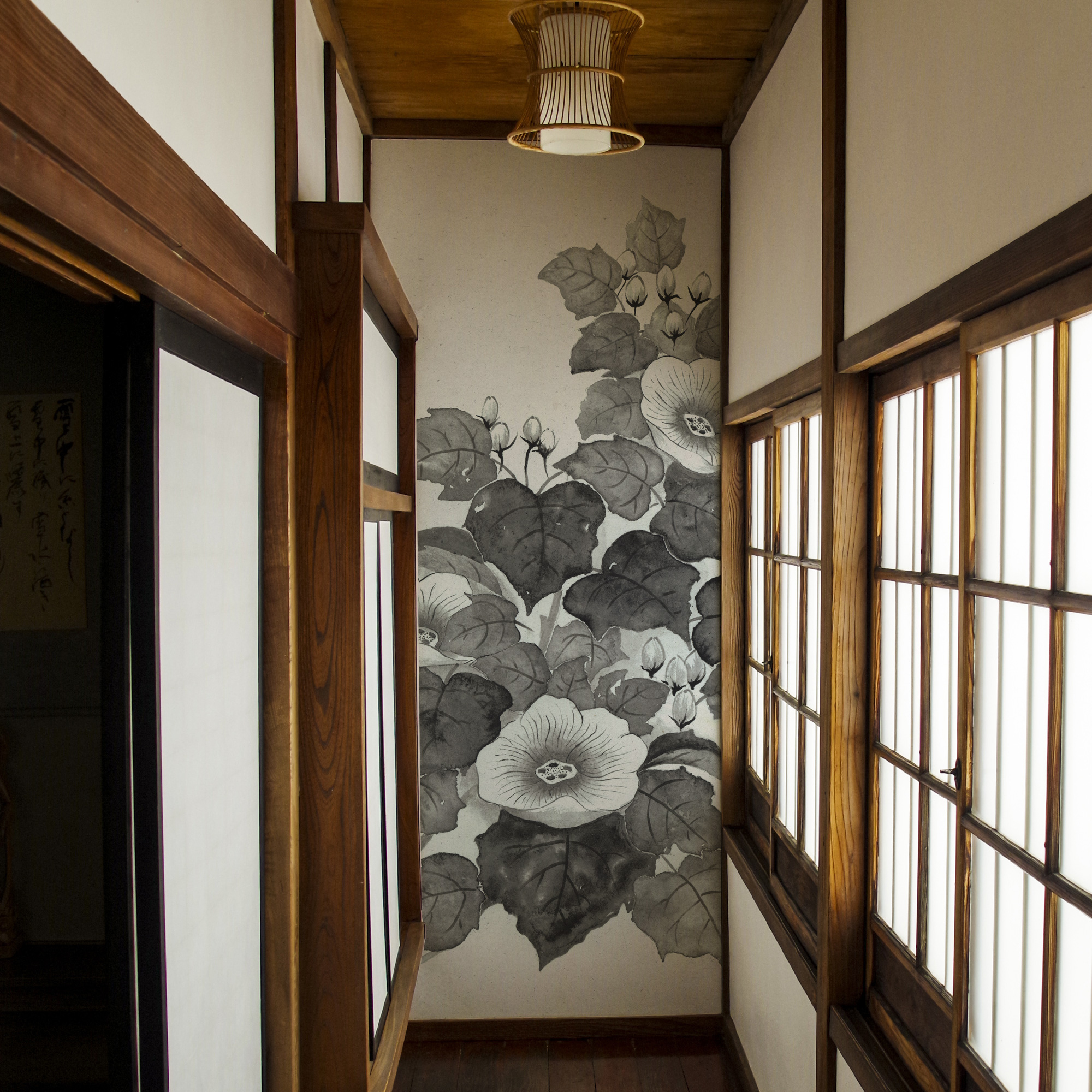 KJ-0167 花開く酔芙蓉(すいふよう)