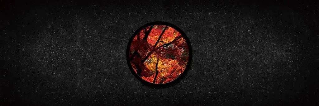 紅葉の窓