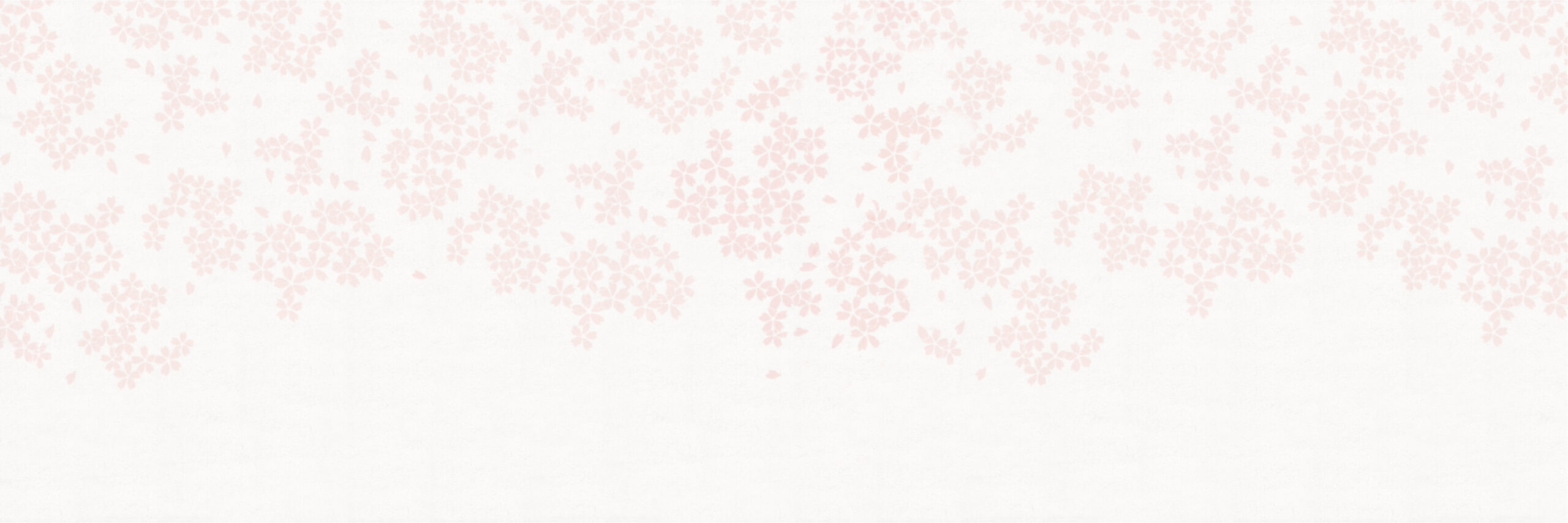 柔らかな桜の舞