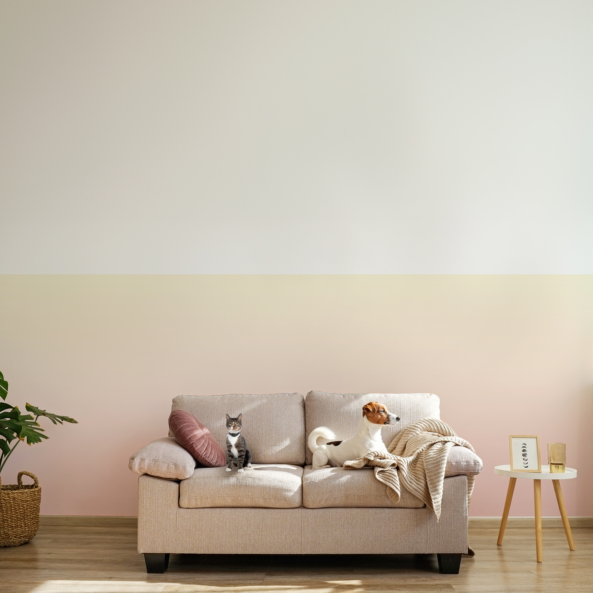 KA-0025 Color Gradations 1