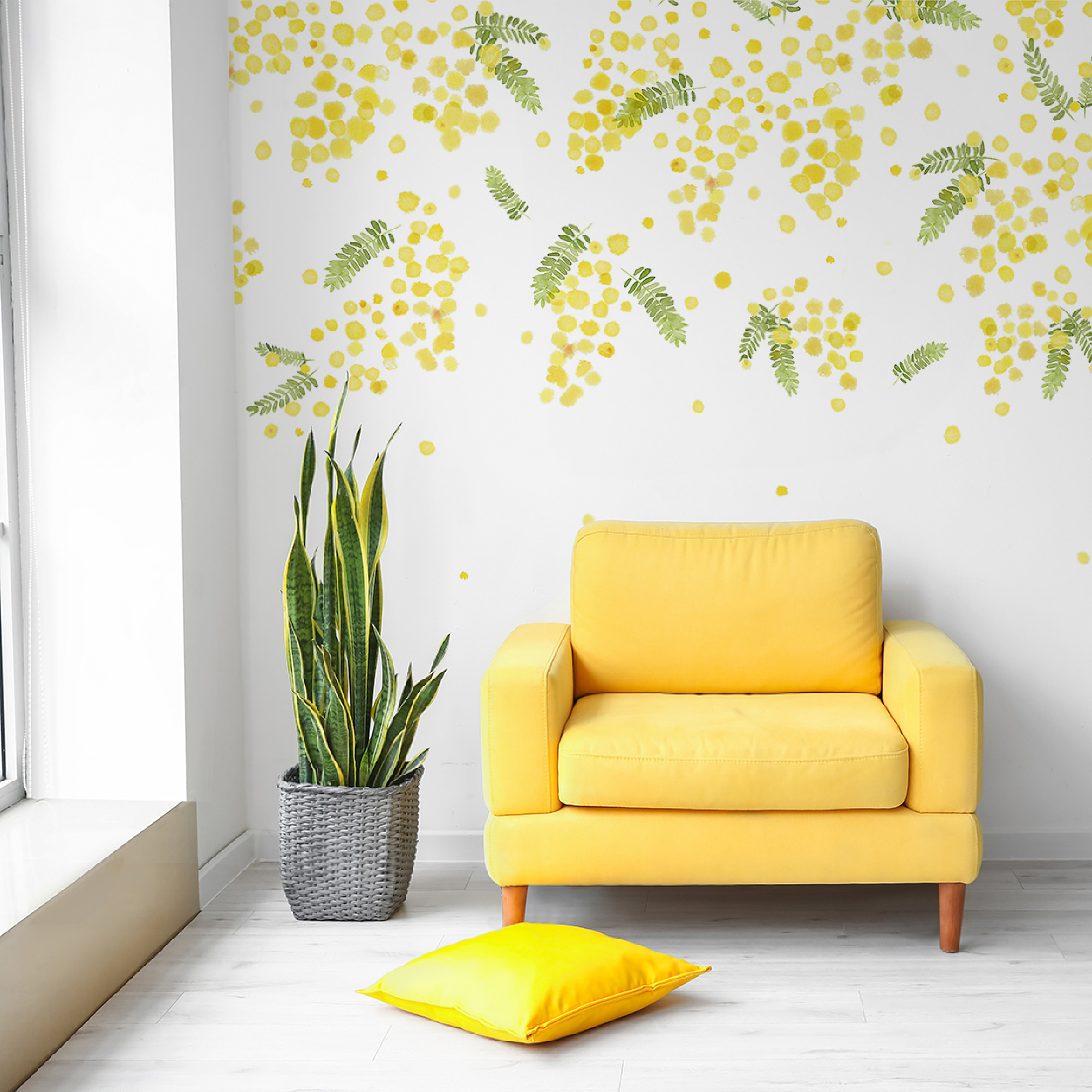 KN-0107 mimosa