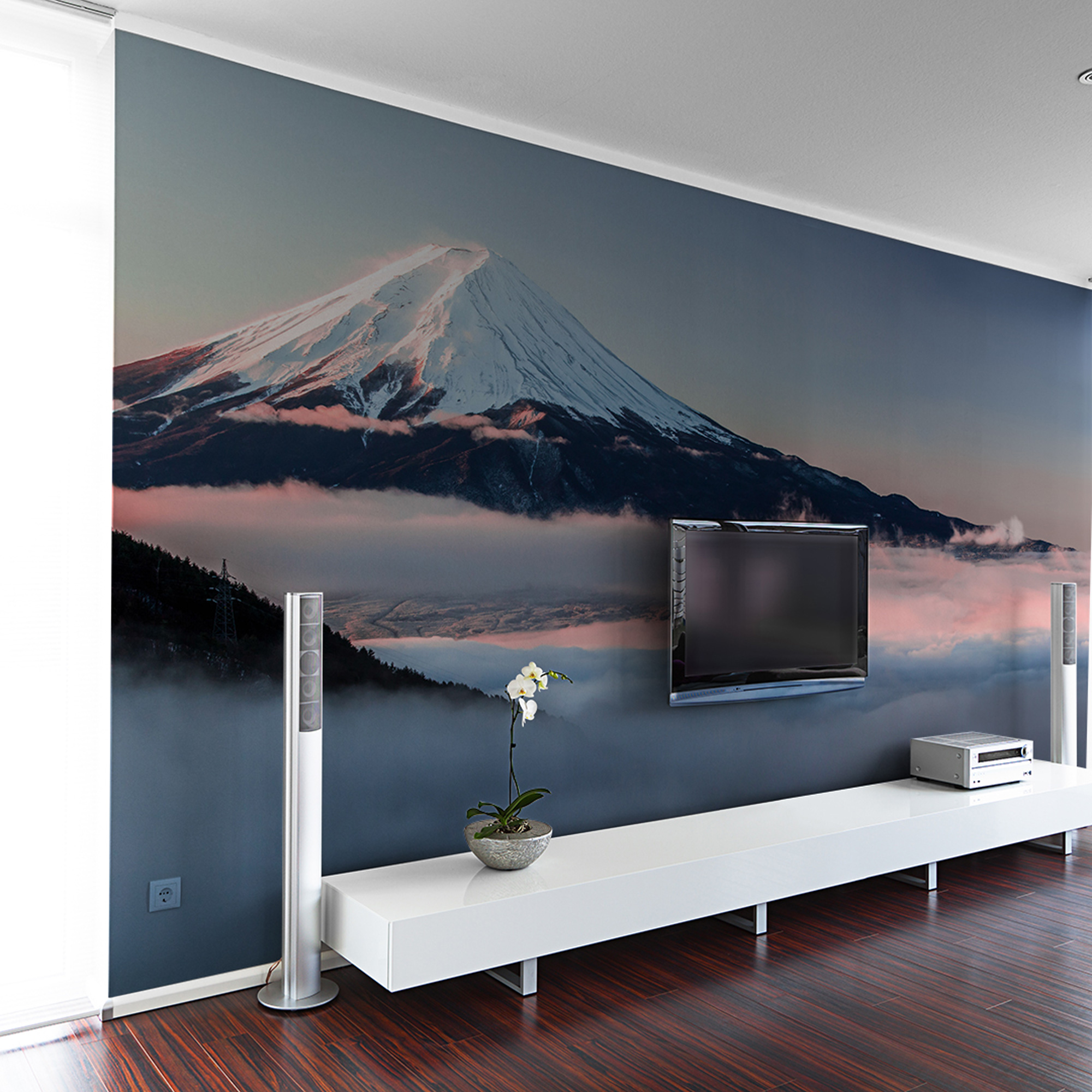 KP-0040 Mt.Fuji C