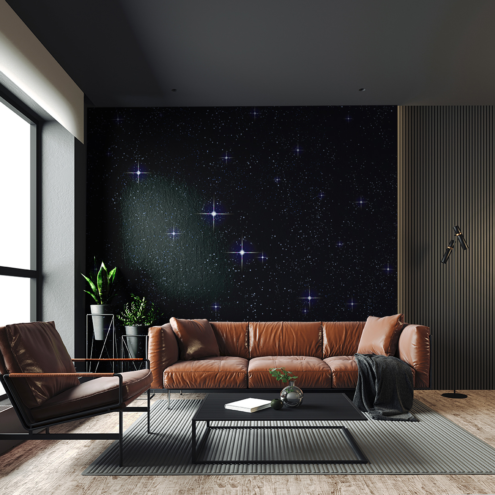 KP-0060 Billion stars