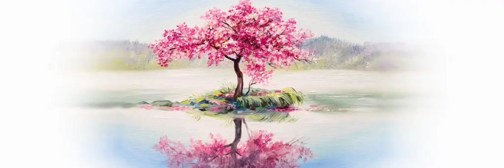 水面の桜