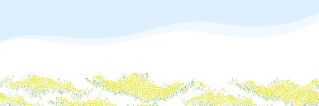 菜の花