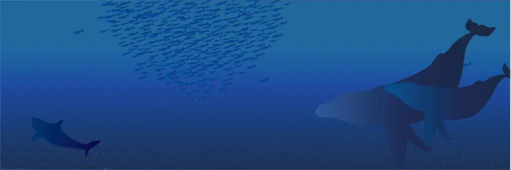 海の空2