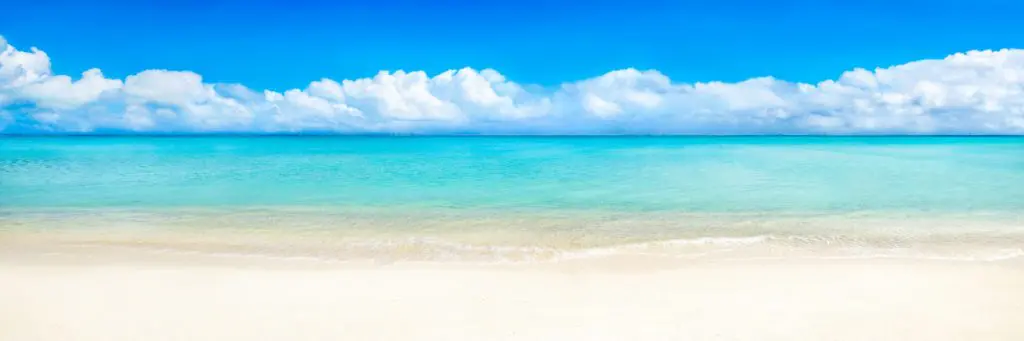 南国の海の壁紙