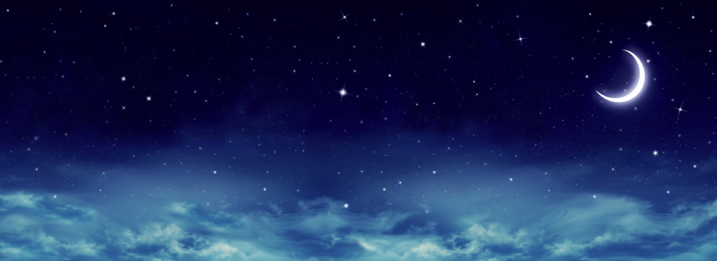 蒼夜夢