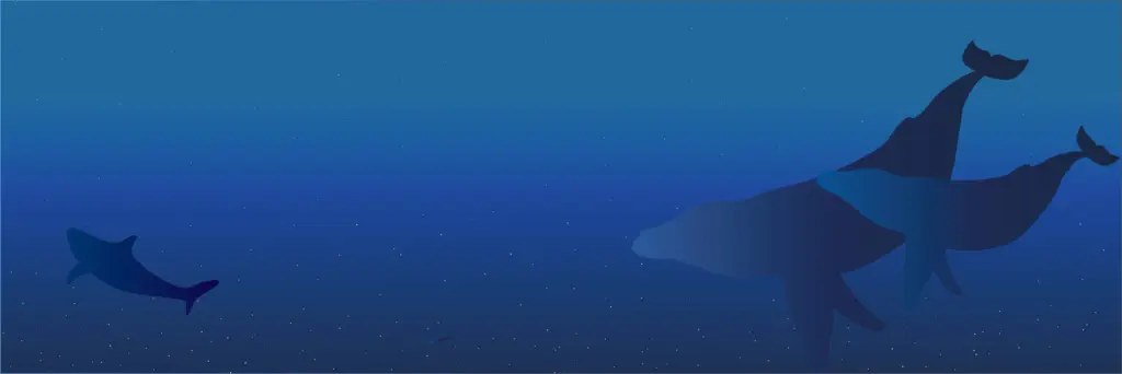 海の空1