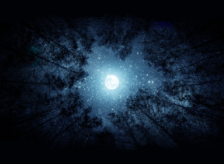 Cry for the Moon