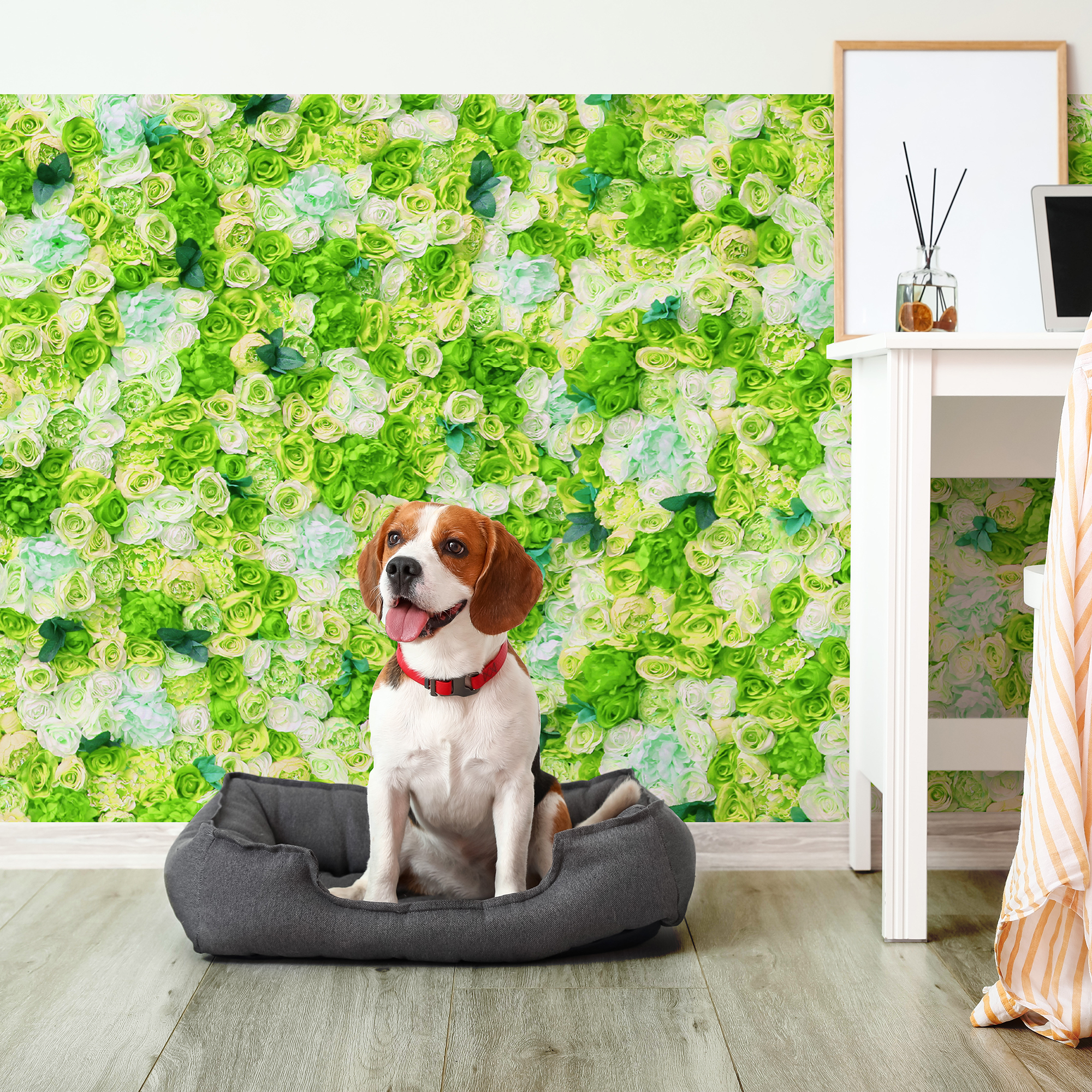 KP-0116 Cutie Rose Wall