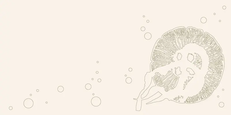 ブラウン