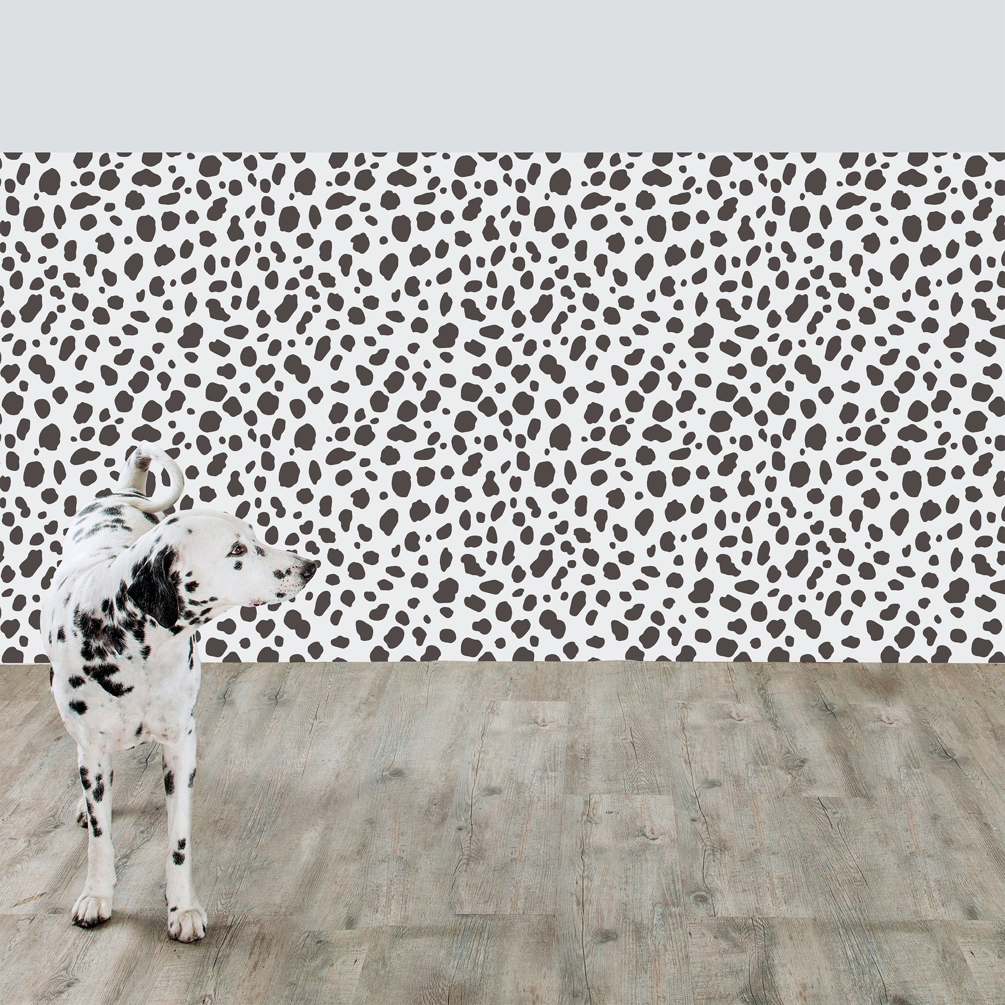 KL-0036 Dalmatian wall