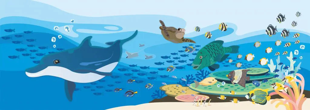 海の生き物