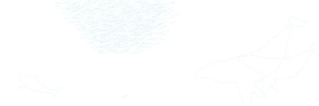 しろ