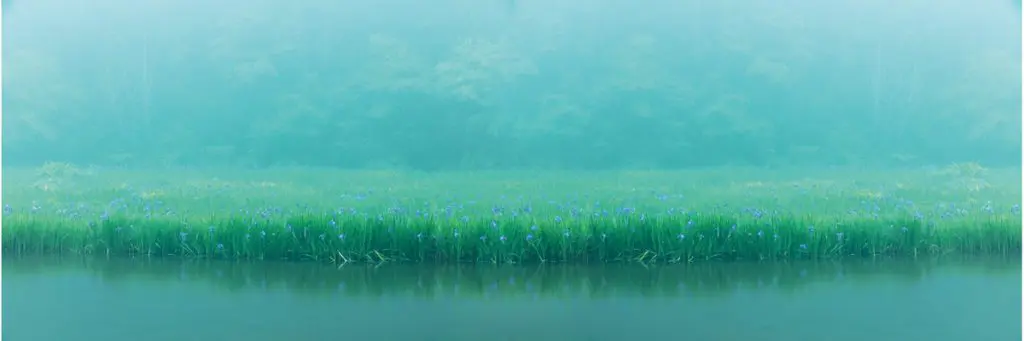 blue