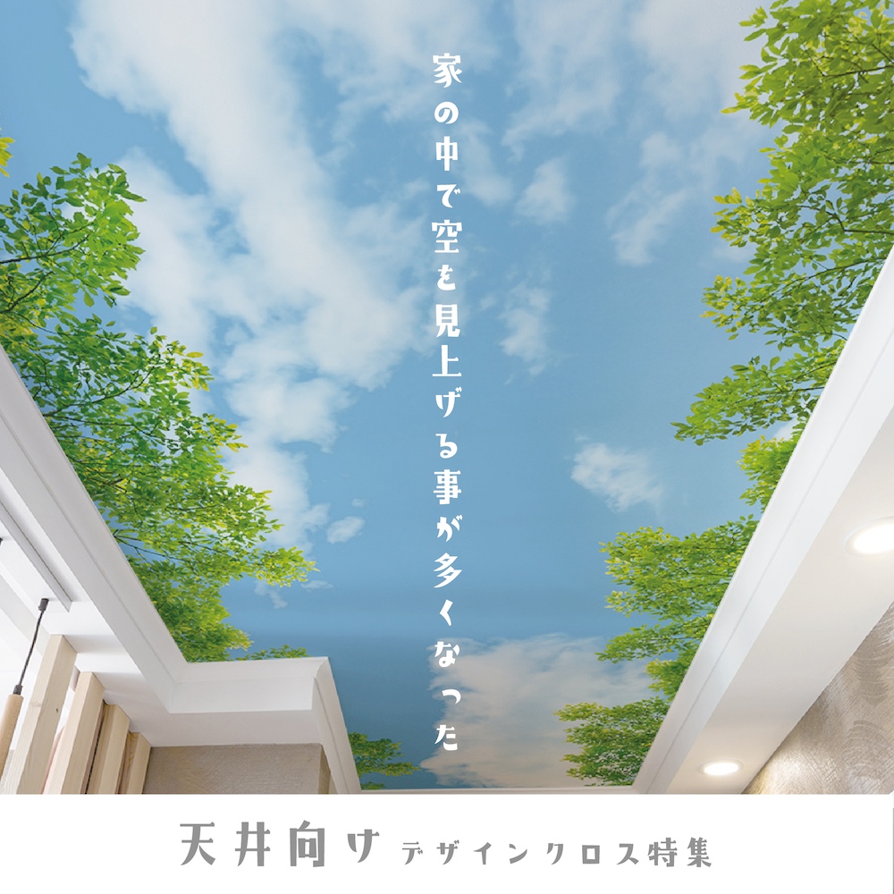 天井向け