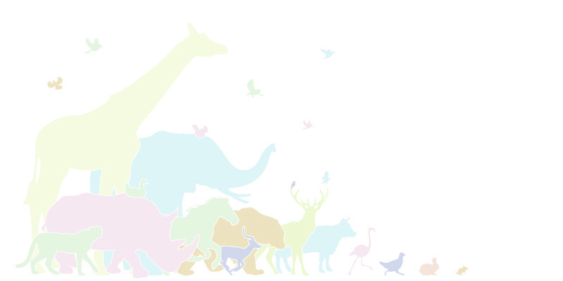 color