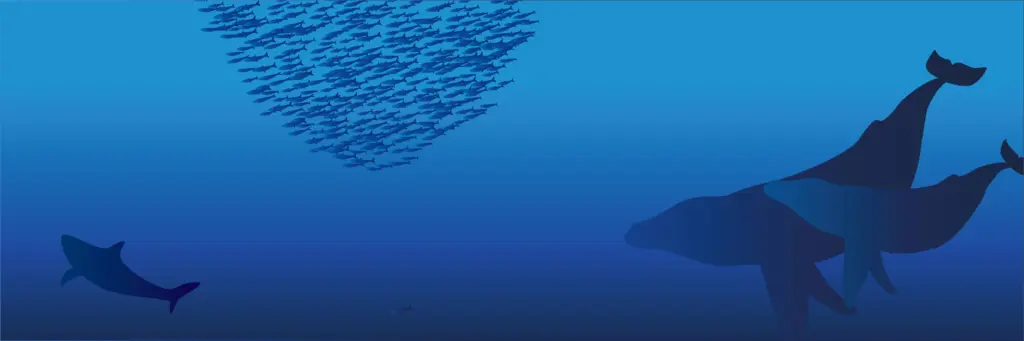 海中