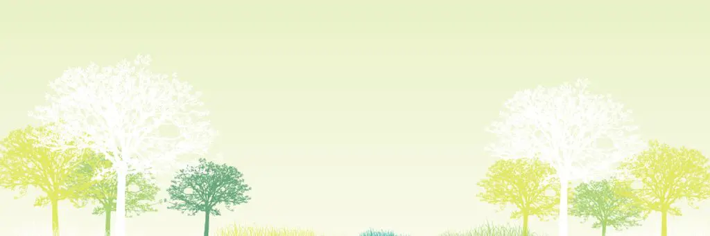 グリーン