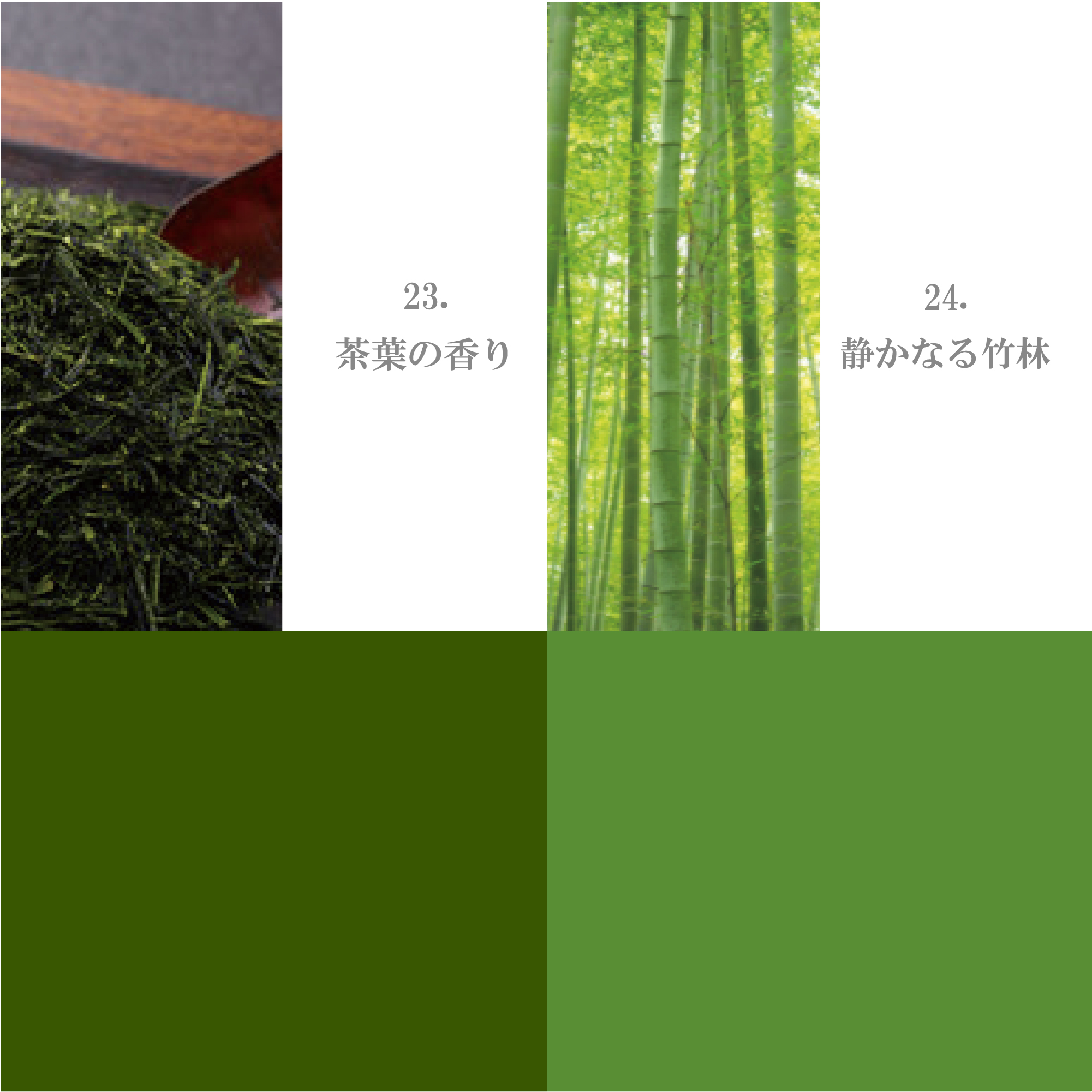 グリーン系 21-30