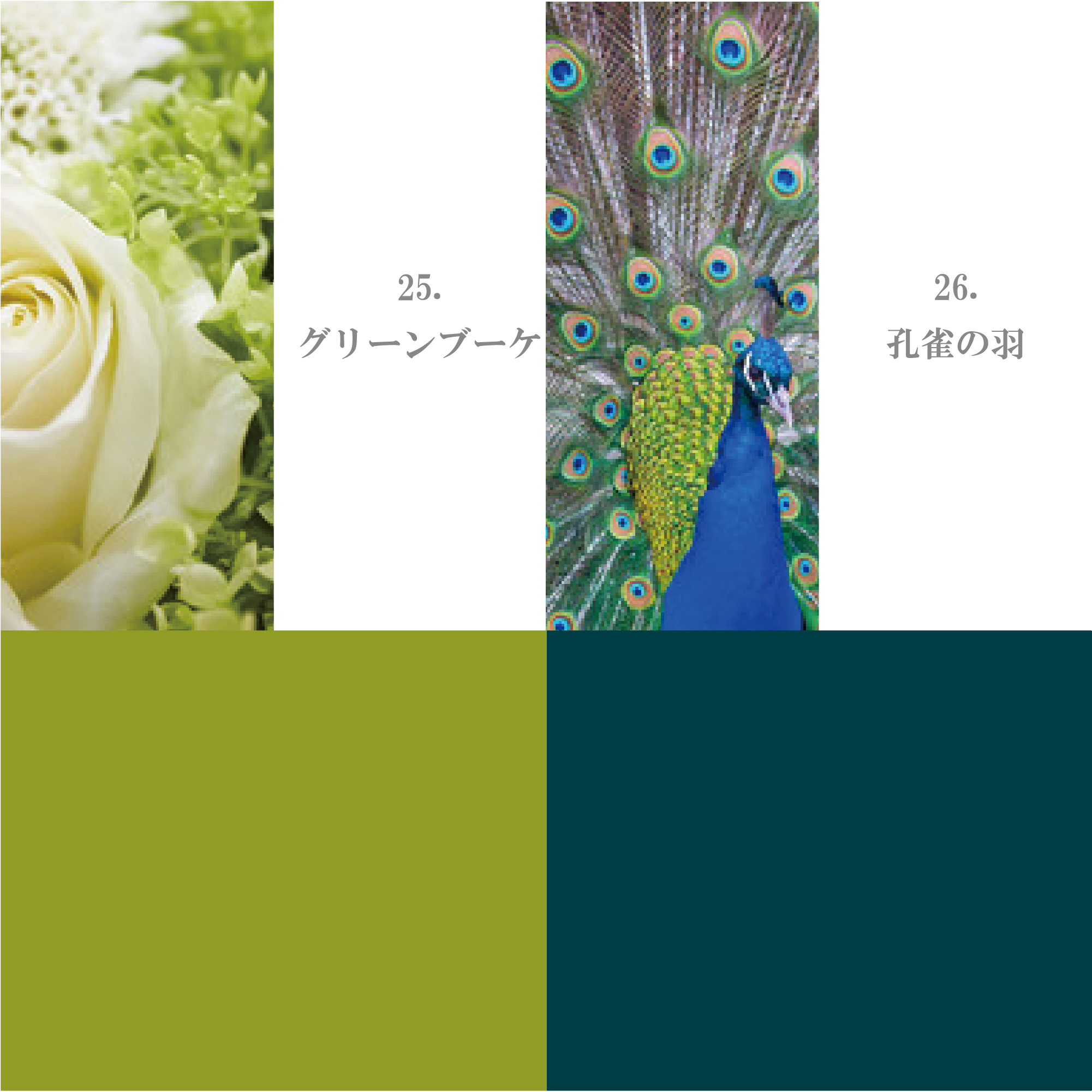 グリーン系 21-30