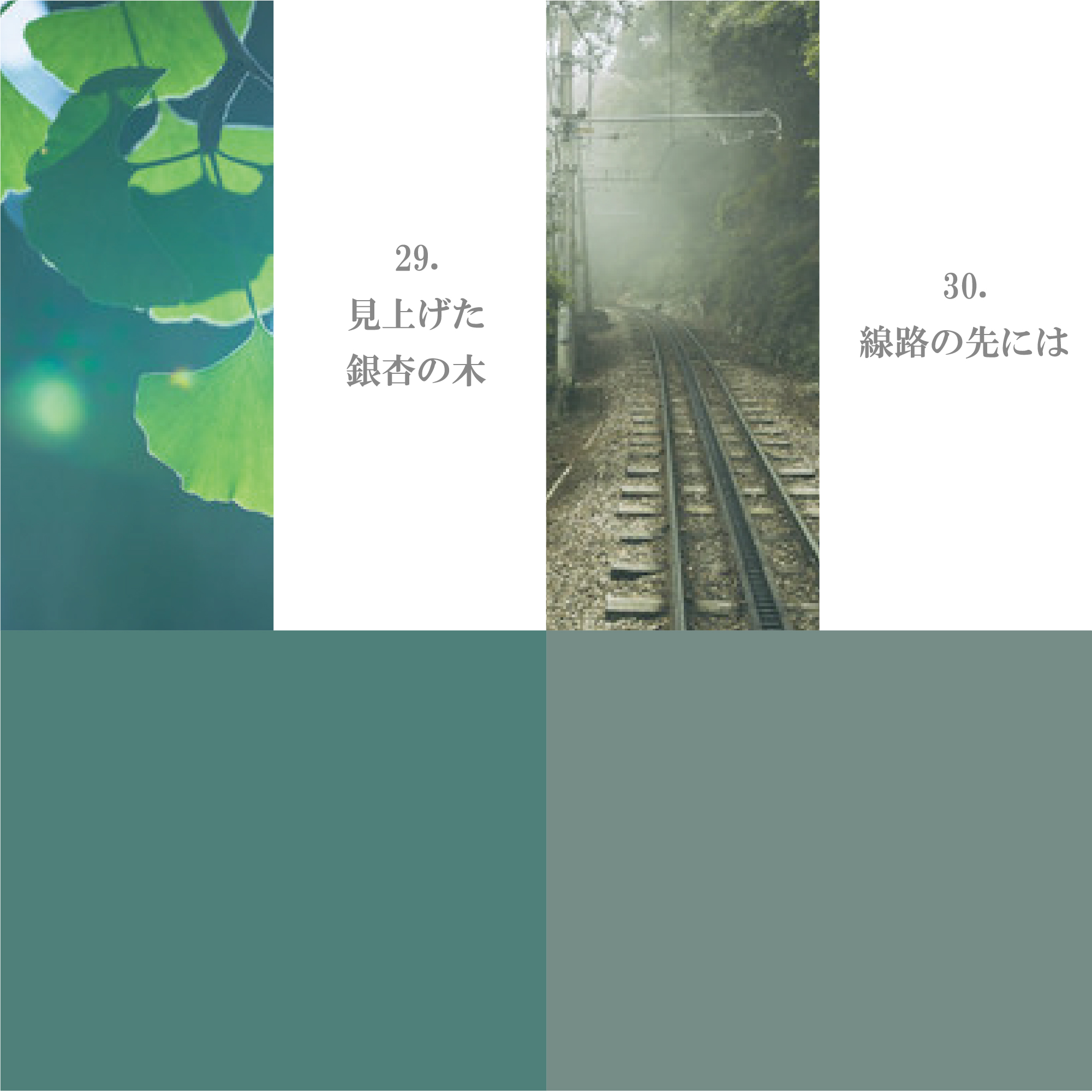 グリーン系 21-30
