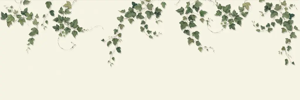 影あり