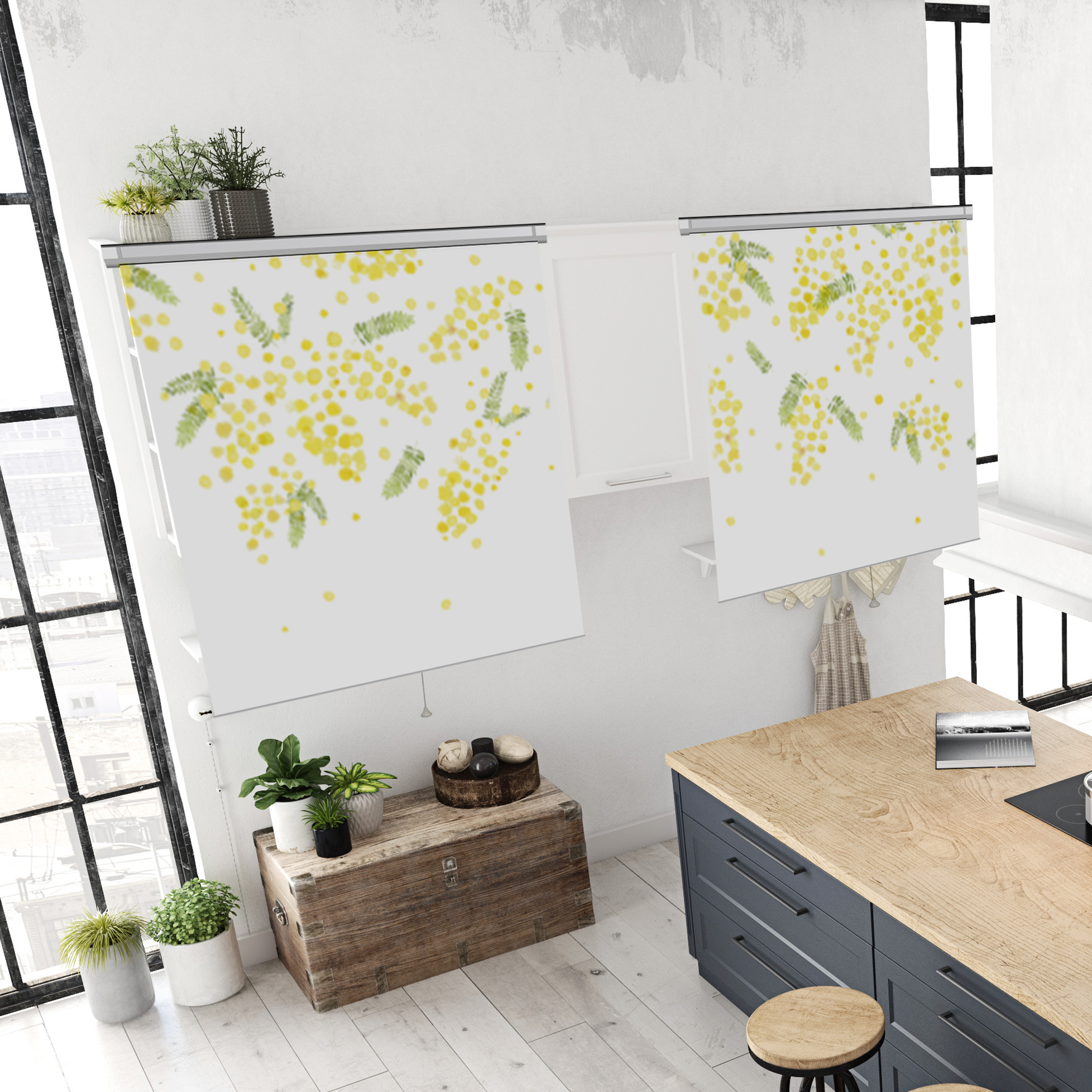 KN-0107 mimosa