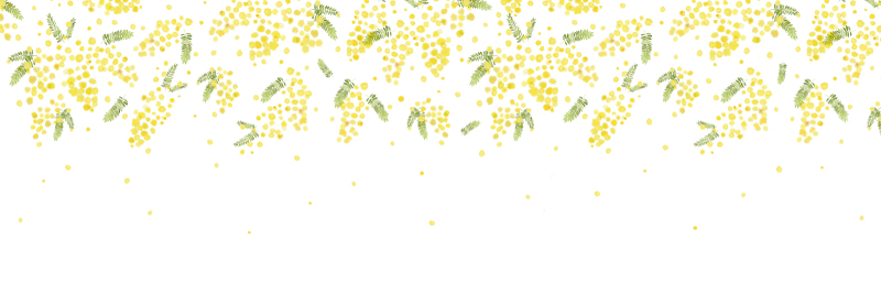 mimosa