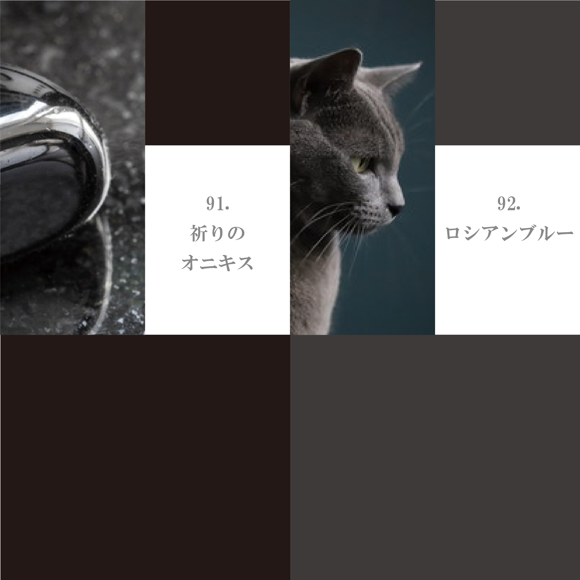 モノクローム系 91-100