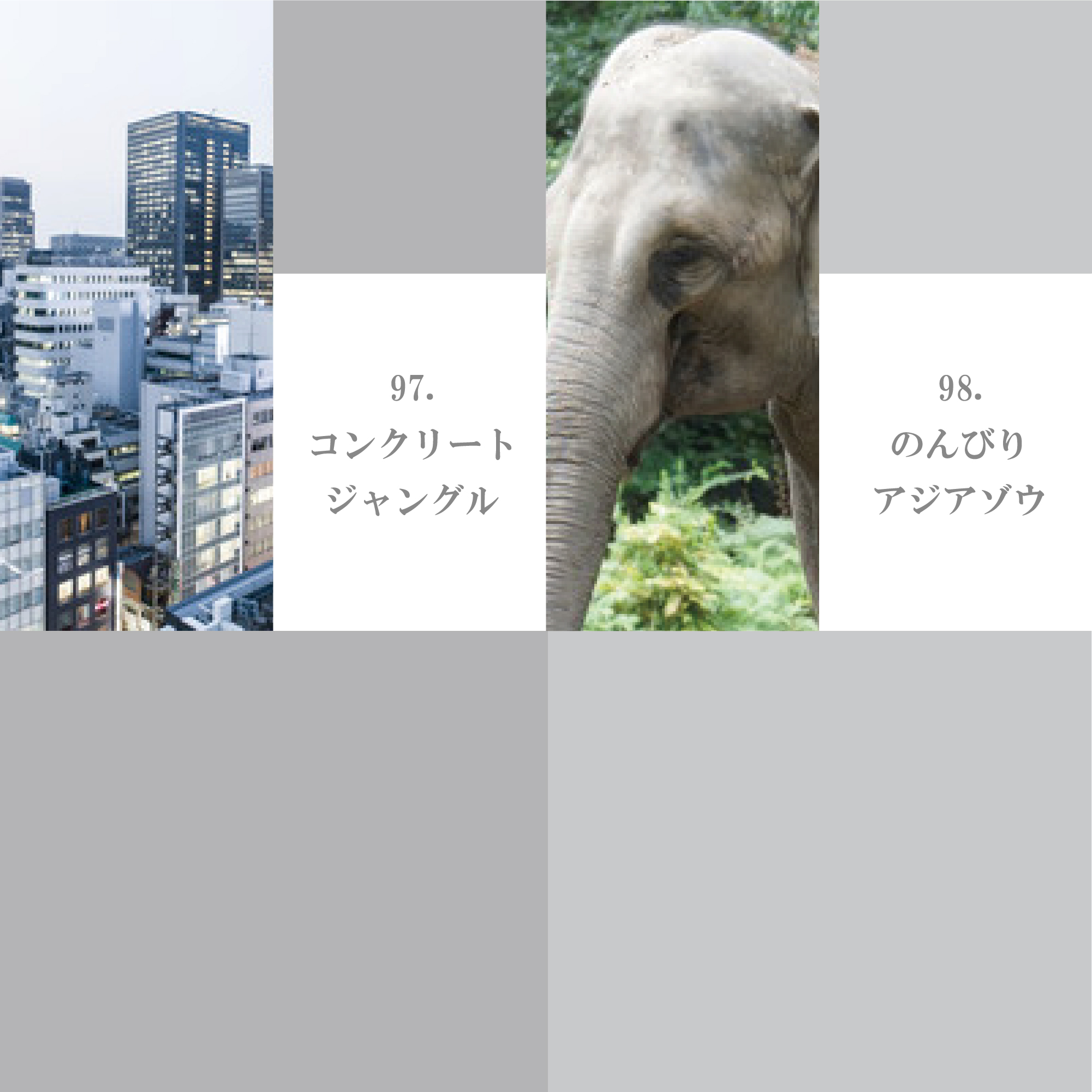 モノクローム系 91-100