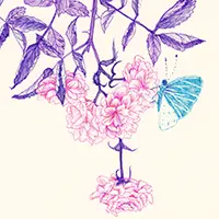 奥原　しんこ