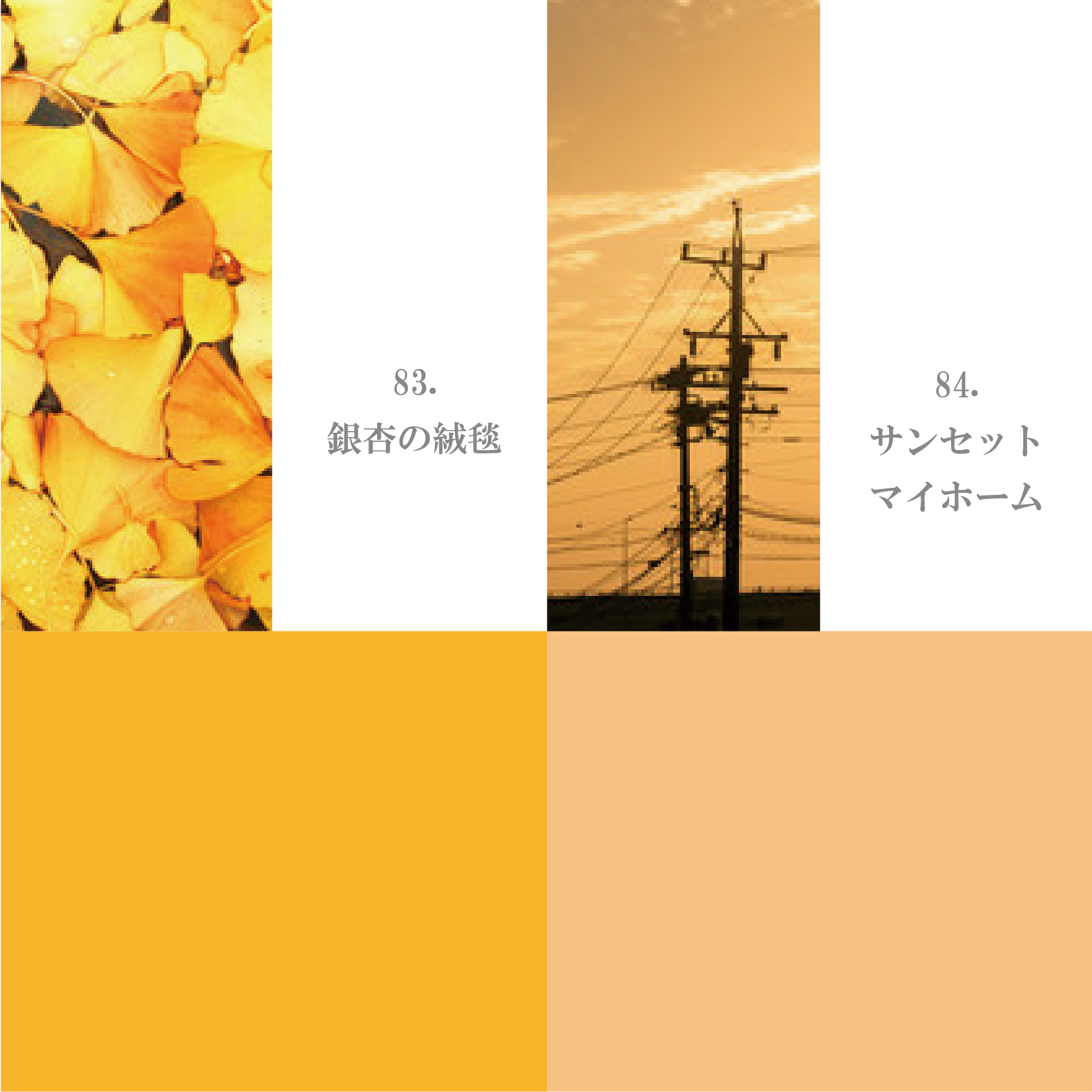 オレンジ・イエロー系 81-90
