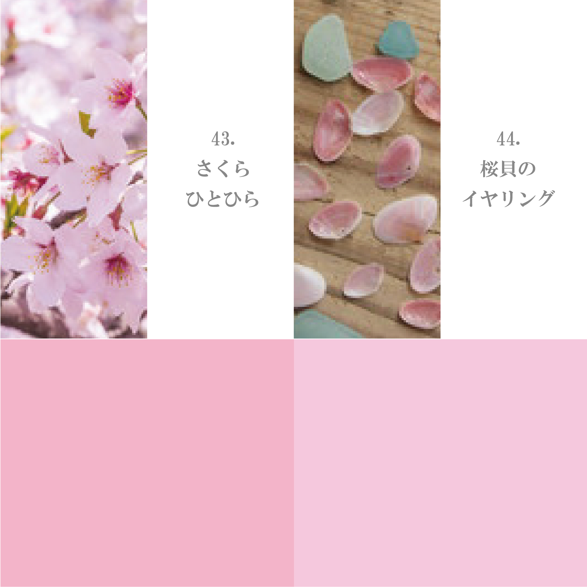ピンク・パープル系41-50