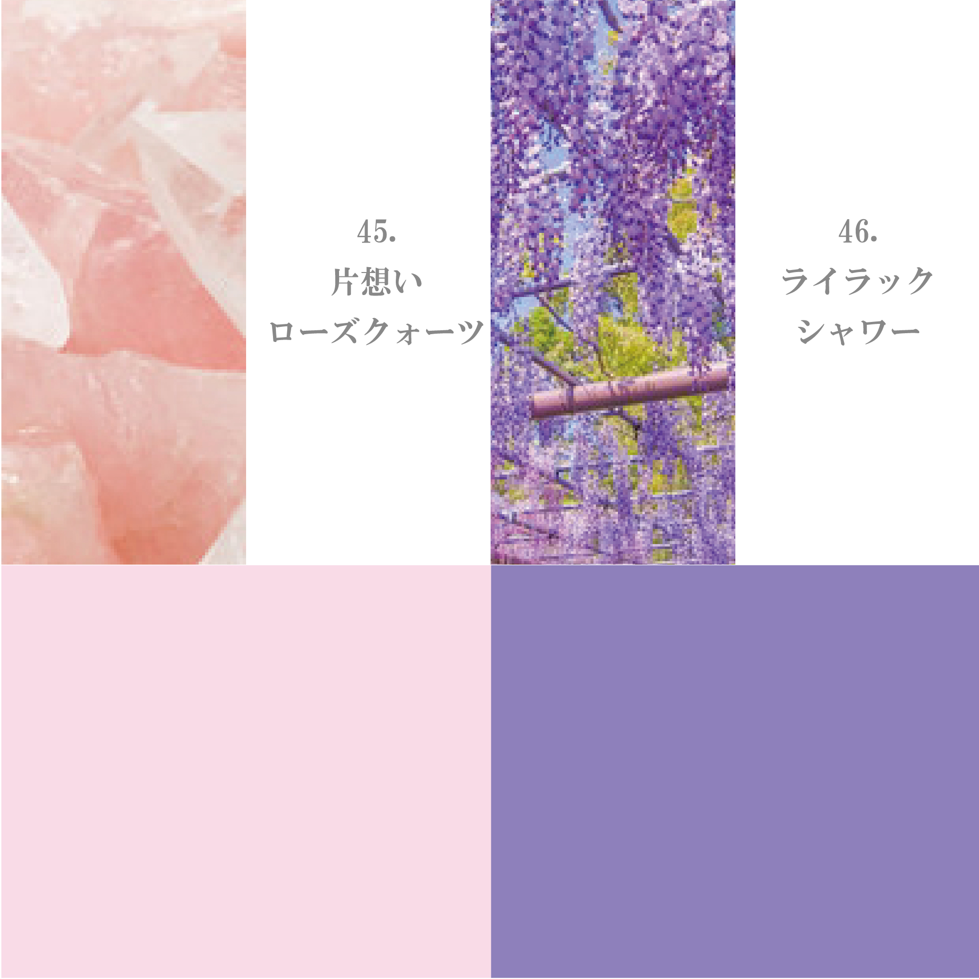 ピンク・パープル系41-50