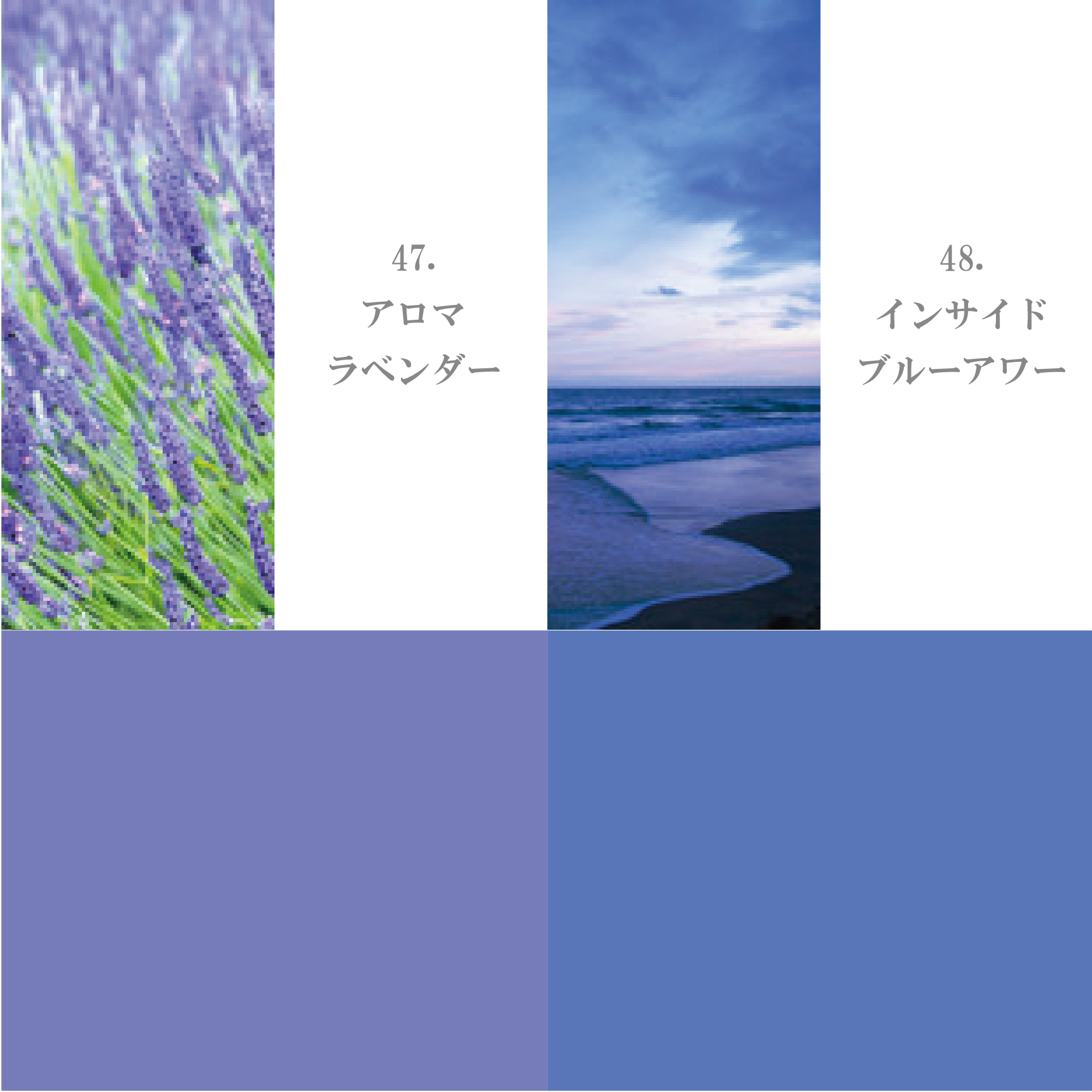 ピンク・パープル系41-50