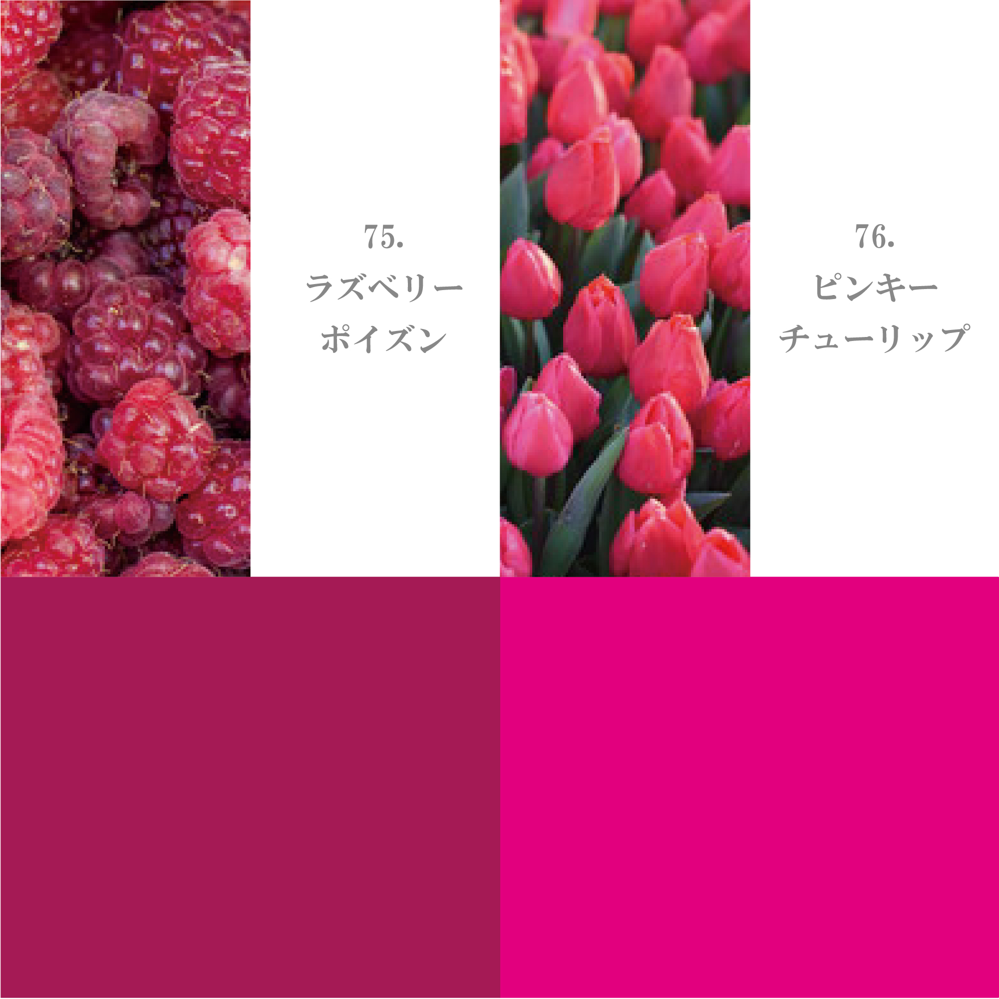 レッド・マゼンタ系 71-80