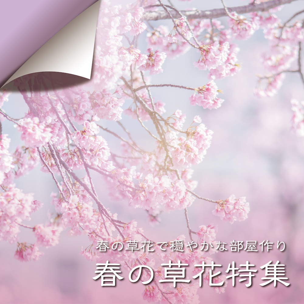 春の草花