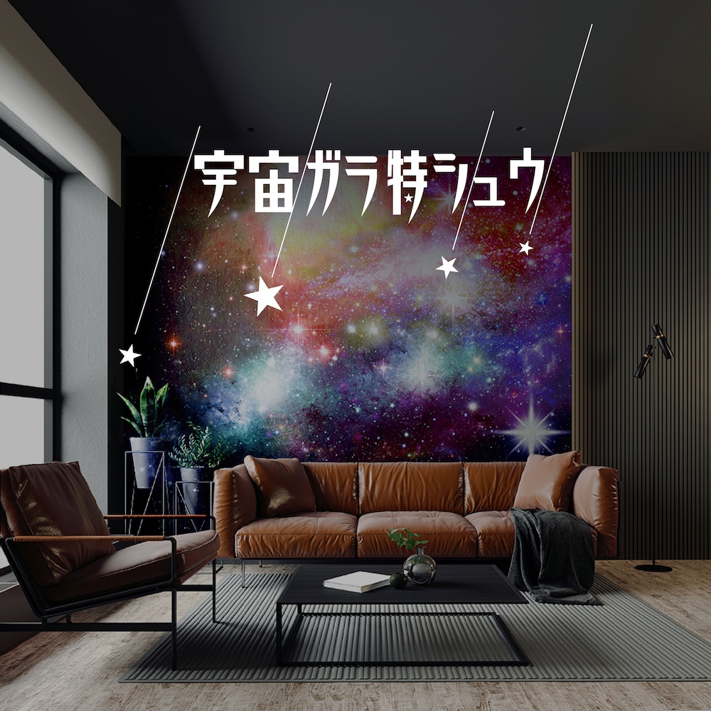 宇宙柄