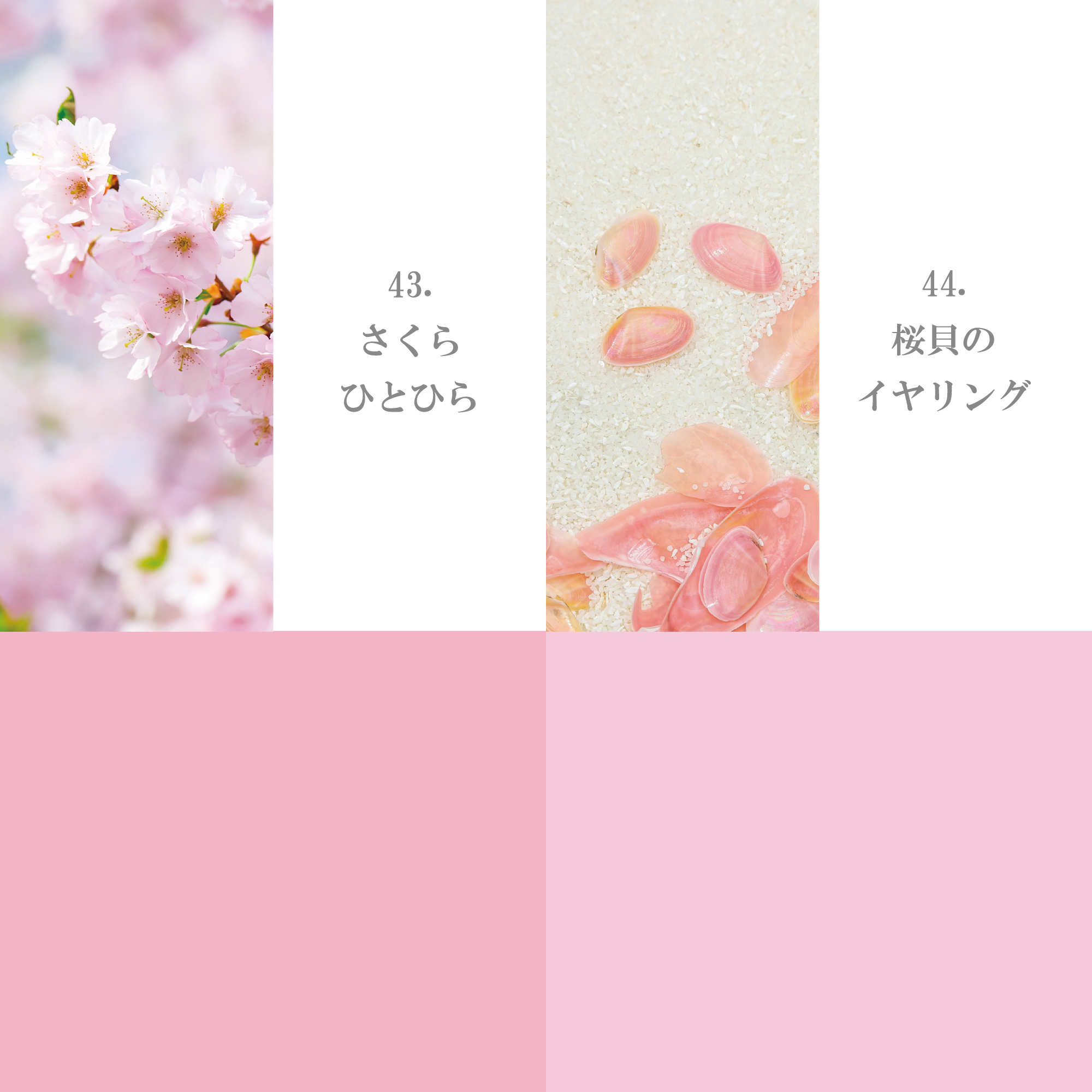 ピンク・パープル系41-50