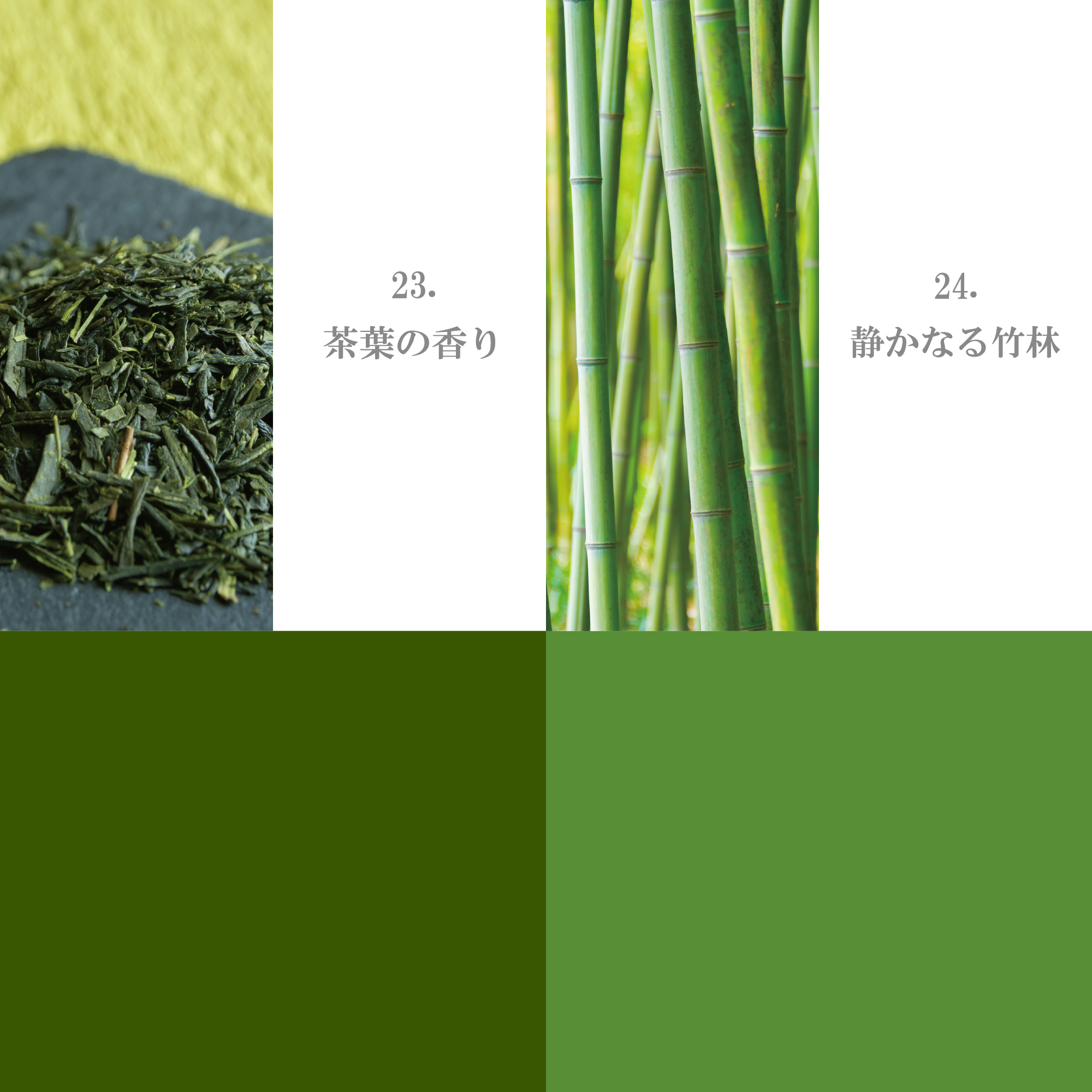 グリーン系 21-30